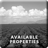 Available Properties Button