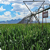 Rucker Canyon Road Farm